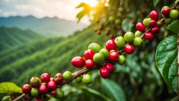 ai gegenereerd koffie rijpen Aan een plantage foto