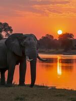 ai gegenereerd olifant staand door een water lichaam Bij zonsondergang ai gegenereerd foto