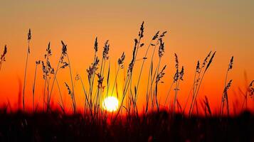 ai gegenereerd foto van aftekenen wild gras tegen levendig zonsondergang. de lucht diep oranje in de buurt de horizon naar aansteker tint net zo het stijgt, wijzend op de zon instelling ai gegenereerd