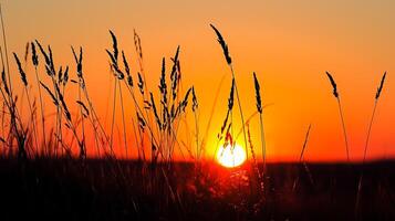 ai gegenereerd foto van aftekenen wild gras tegen levendig zonsondergang. de lucht diep oranje in de buurt de horizon naar aansteker tint net zo het stijgt, wijzend op de zon instelling ai gegenereerd