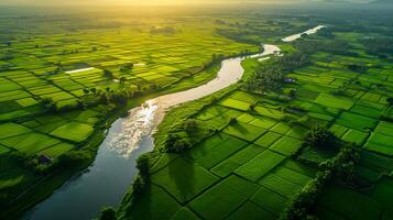 ai gegenereerd weelderig groen landschap doorsneden door kalmte rivier, de zon gieten lang schaduwen. de rivier- zou moeten meander door de landschap, reflecterend de lucht en omgeving groen ai gegenereerd foto