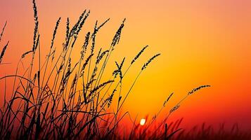 ai gegenereerd foto van aftekenen wild gras tegen levendig zonsondergang. de lucht diep oranje in de buurt de horizon naar aansteker tint net zo het stijgt, wijzend op de zon instelling ai gegenereerd