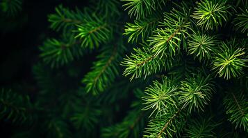 ai gegenereerd foto van helder groen pijnboom naalden reeks tegen donker, schimmig achtergrond. ai gegenereerd