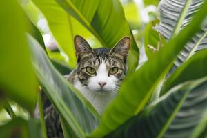 ai gegenereerd kat peering door groot, levendig groen bladeren ai gegenereerd foto