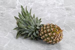 zoet biologisch rijp tropisch ananas foto