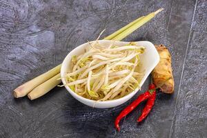 Aziatisch keuken puree Boon spruit foto