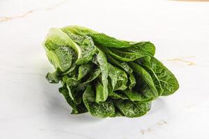 groen vers sappig romano salade foto