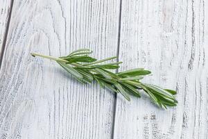 rozemarijn Afdeling - biologisch pittig kruid foto