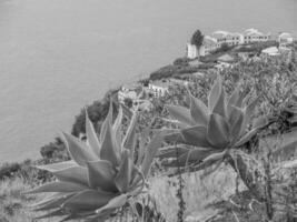 eiland madeira in portugal foto