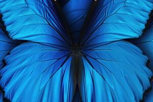ai gegenereerd abstract blauw patroon van vlinder Vleugels foto