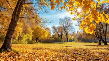 ai gegenereerd levendig herfst landschap, helder kleuren in van de natuur vallen palet foto