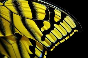 ai gegenereerd vlinder vleugel details geel samenvatting foto