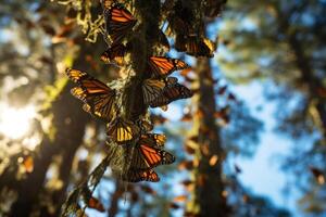 ai gegenereerd monarch vlinders Hoes boom gedurende migratie naar Mexico foto