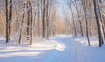 ai gegenereerd winter Woud in zonnig dag. winter landschap met bomen gedekt met sneeuw foto