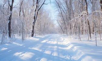 ai gegenereerd winter Woud in zonnig dag. winter landschap met bomen gedekt met sneeuw foto