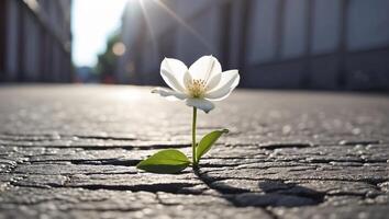 ai gegenereerd mooi eenzaam bloem groeit van asfalt foto