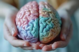 ai gegenereerd menselijk hersenen model- in pastel kleuren in vrouw handen. mentaal Gezondheid of wanorde concept foto