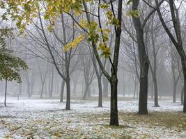 mist in een stad park. verdrietig herfst landschap. mist middelen een verandering in het weer. foto