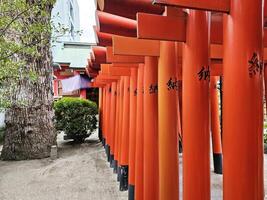 fukuoka, Japan november 13, 2023 rood torii poorten Bij kushida jinja altaar waar is een shinto altaar gelegen in hakata-ku, fukuoka, Japan, was Gesticht in in 757. foto