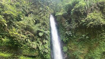 mooi waterval, genaamd curug zaag in de midden- van Indonesië regenwoud, Aziatisch Woud verborgen edelsteen foto