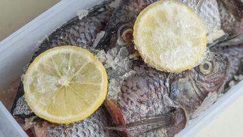 mujaer vis bewaard gebleven gebruik makend van ijs en citroen plakjes foto