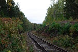 visie van spoorweg sporen met groen boom. reizen en vervoer concept. foto