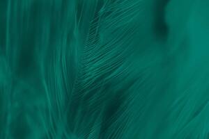 mooi donker groen turkoois wijnoogst kleur trends veer structuur achtergrond foto