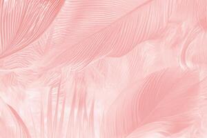 mooi zacht roze veer vleugel patroon structuur achtergrond foto
