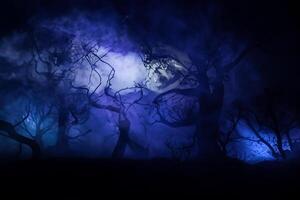 spookachtig donker landschap tonen silhouetten van bomen in de moeras Aan nevelig nacht. nacht mysterieus landschap in verkoudheid tonen - silhouetten van de kaal boom takken tegen de vol maan foto