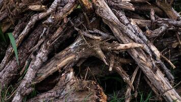 de gestapeld droog hout is donker bruin foto