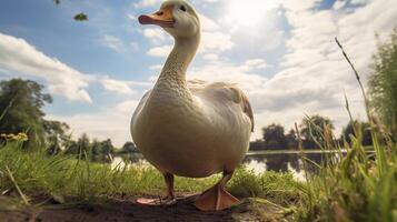 ai gegenereerd gans hoog kwaliteit beeld foto