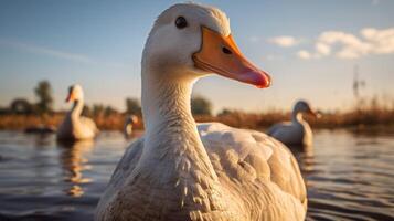 ai gegenereerd gans hoog kwaliteit beeld foto