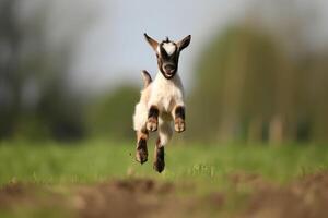 ai gegenereerd speels jumping baby geit in groen veld. genereren ai foto