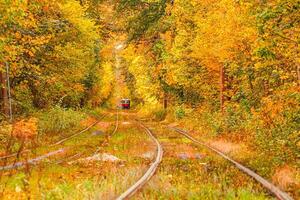 herfst Woud door welke een oud tram ritten Oekraïne foto