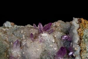 macro mineraal amethist steen in rots Aan een zwart achtergrond foto