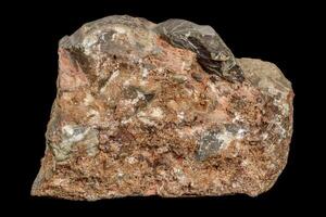 macro steen mineraal onyx marmeren Aan een zwart achtergrond foto