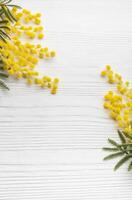 mimosa bloemen Aan wit houten achtergrond foto