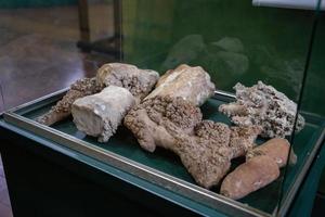 goiania, goias, brazilië, 2019 - rots met versteend dier foto