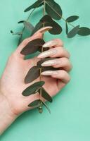 vrouw handen met manicure en een Afdeling van eucalyptus foto