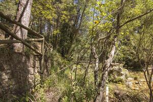 landschappen en trails van de mooi natuur van de Sierra de Cazola, Jaen, Spanje. natuur vakantie concept. foto