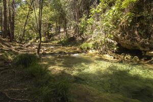 landschappen en trails van de mooi natuur van de Sierra de Cazola, Jaen, Spanje. natuur vakantie concept. foto