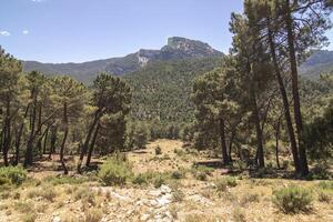 landschappen en trails van de mooi natuur van de Sierra de Cazola, Jaen, Spanje. natuur vakantie concept. foto