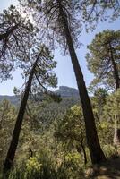 landschappen en trails van de mooi natuur van de Sierra de Cazola, Jaen, Spanje. natuur vakantie concept. foto