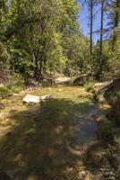 landschappen en trails van de mooi natuur van de Sierra de Cazola, Jaen, Spanje. natuur vakantie concept. foto