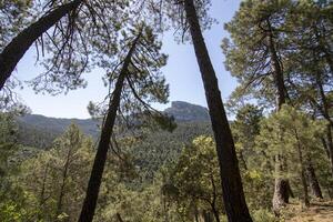 landschappen en trails van de mooi natuur van de Sierra de Cazola, Jaen, Spanje. natuur vakantie concept. foto