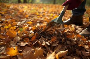 ai gegenereerd hark herfst bladeren. genereren ai foto