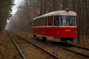 de tram ritten Aan de rails in de Woud. mistig dag in herfst. milieuvriendelijk vriendelijk stad vervoer. kiev, Oekraïne. elektrisch tram. mist. hoog schip pijnboom bomen.. pijnboom. natuur landschap. trolley foto