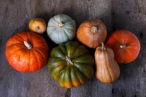 reeks van verschillend pompoenen achtergrond. verschillend variëteiten. oranje, groen en grijs pompoen. herfst oogst. halloween en dankzegging voedsel foto