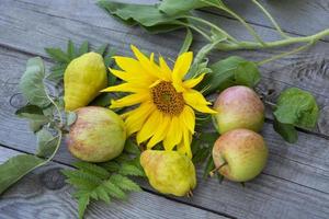 stilleven van fruit en bloemen. appels, peren en zonnebloem bloem op een houten achtergrond. foto