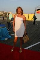 catherine deuk aankomen Bij de vos TV tca zomer 08 partij Bij de de kerstman monica pier in de kerstman monica, ca Aan juli 14, 2008 foto